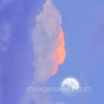 Avatar de Juana Villaseñor